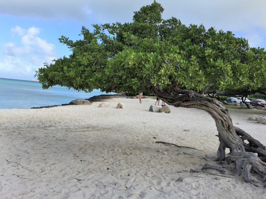 Aruba