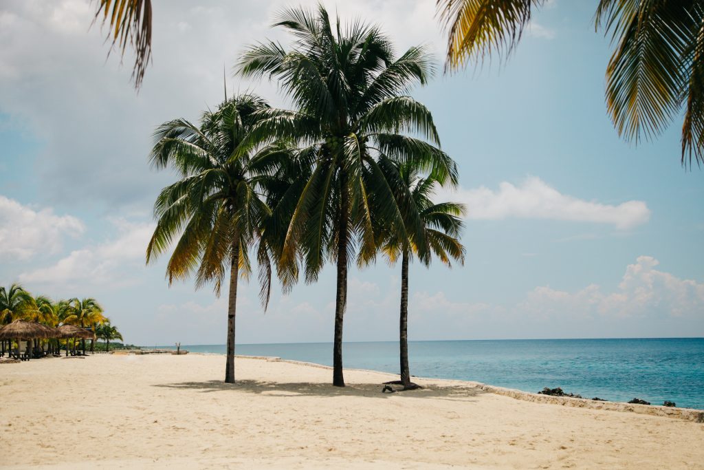 Punta Sur Eco Beach Park: A Hidden Gem in Cozumel | Porthole Cruise